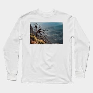 Tree at Lipan Overlook Grand Canyon Long Sleeve T-Shirt